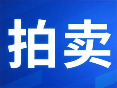 希爾得拍賣|衡東縣公共機(jī)構(gòu)屋頂光伏發(fā)電項目27年特許經(jīng)營權(quán)拍賣公告